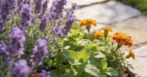 Naturalny wróg mrówek: jak pozbyć się szkodników z ogrodu domowym sposobem?